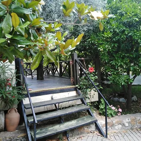 Hotel Sayfiye Butik *
