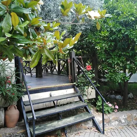 Hotel Sayfiye Butik *