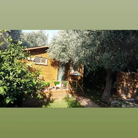 Sayfiye Butik