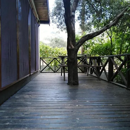 Hotel Sayfiye Butik *